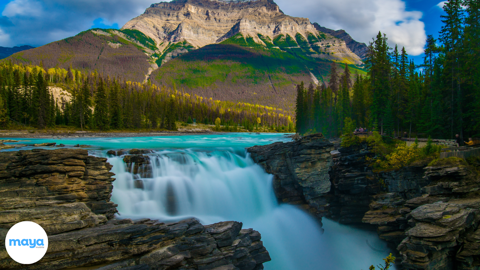 Jasper National Park, Alberta 