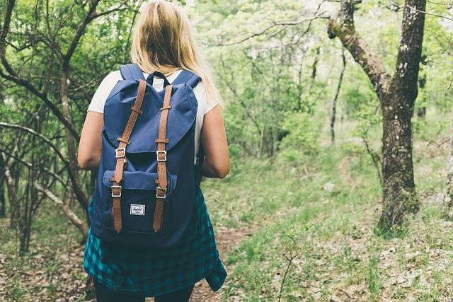 Free Backpack Bag photo and picture