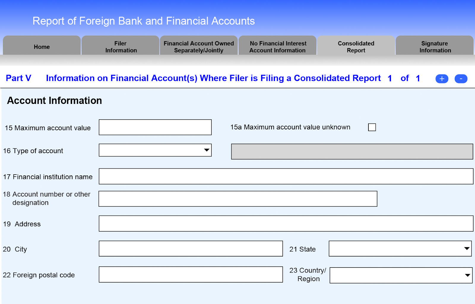 A screenshot of the "Account Information" section of Part V: Information on Financial Account(s) Where Filer is Filing a Consolidated Report on the FBAR.