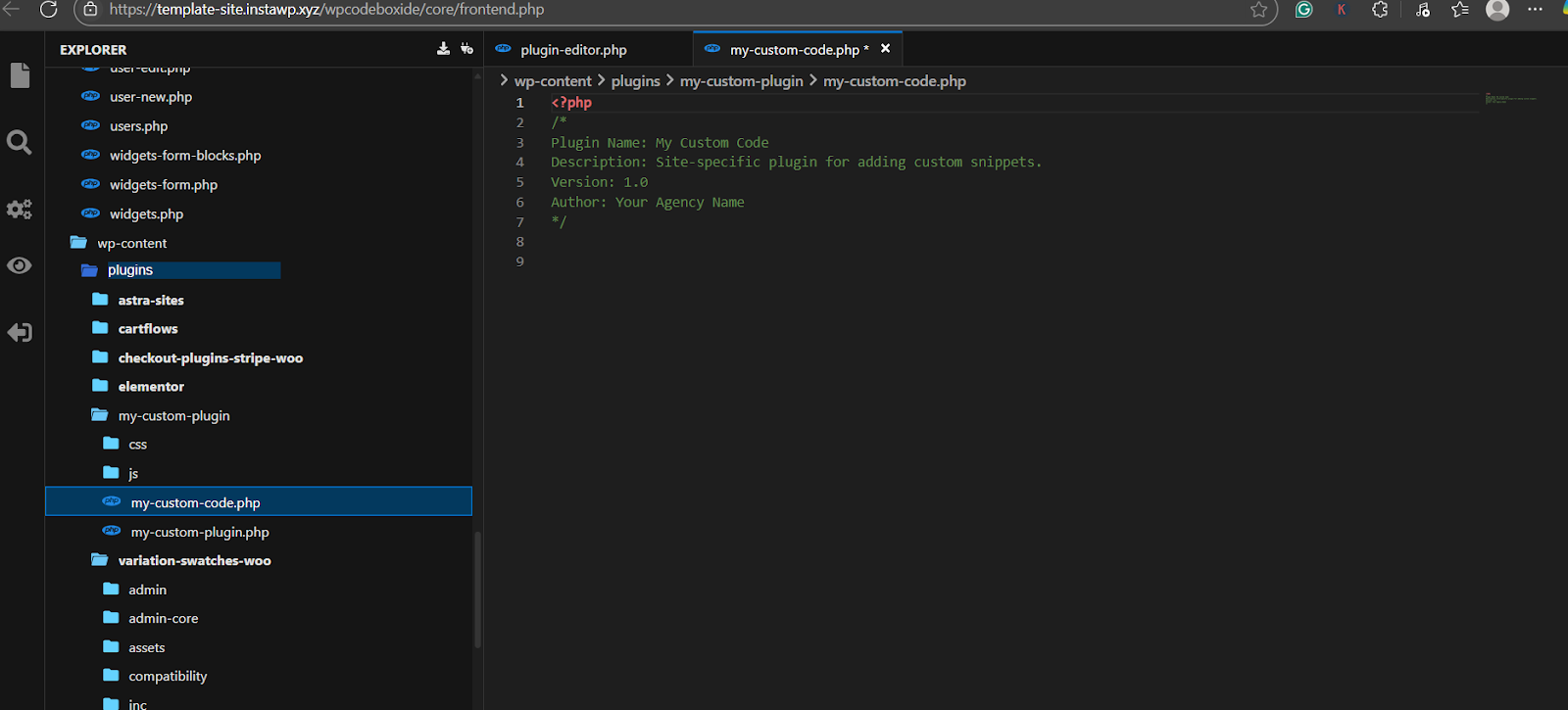 how to add custom code in WordPress