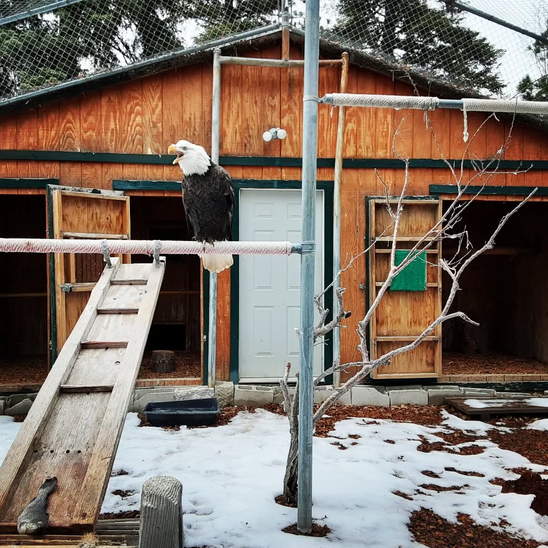 Wildhaven Ranch