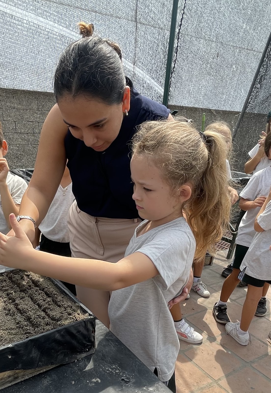 student planting hydroponic lettuce