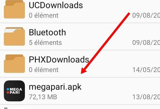 MegaPari apk