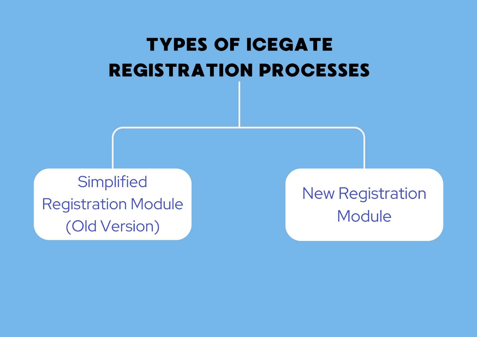  Types of ICEGATE Registration