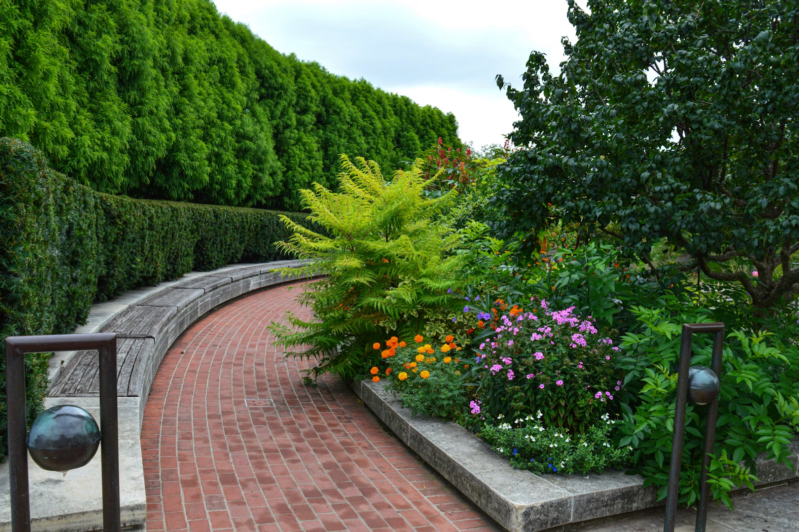 Brick pathway bordered by freshly trimmed bushes, showcasing the impact of combining landscaping and hardscaping.