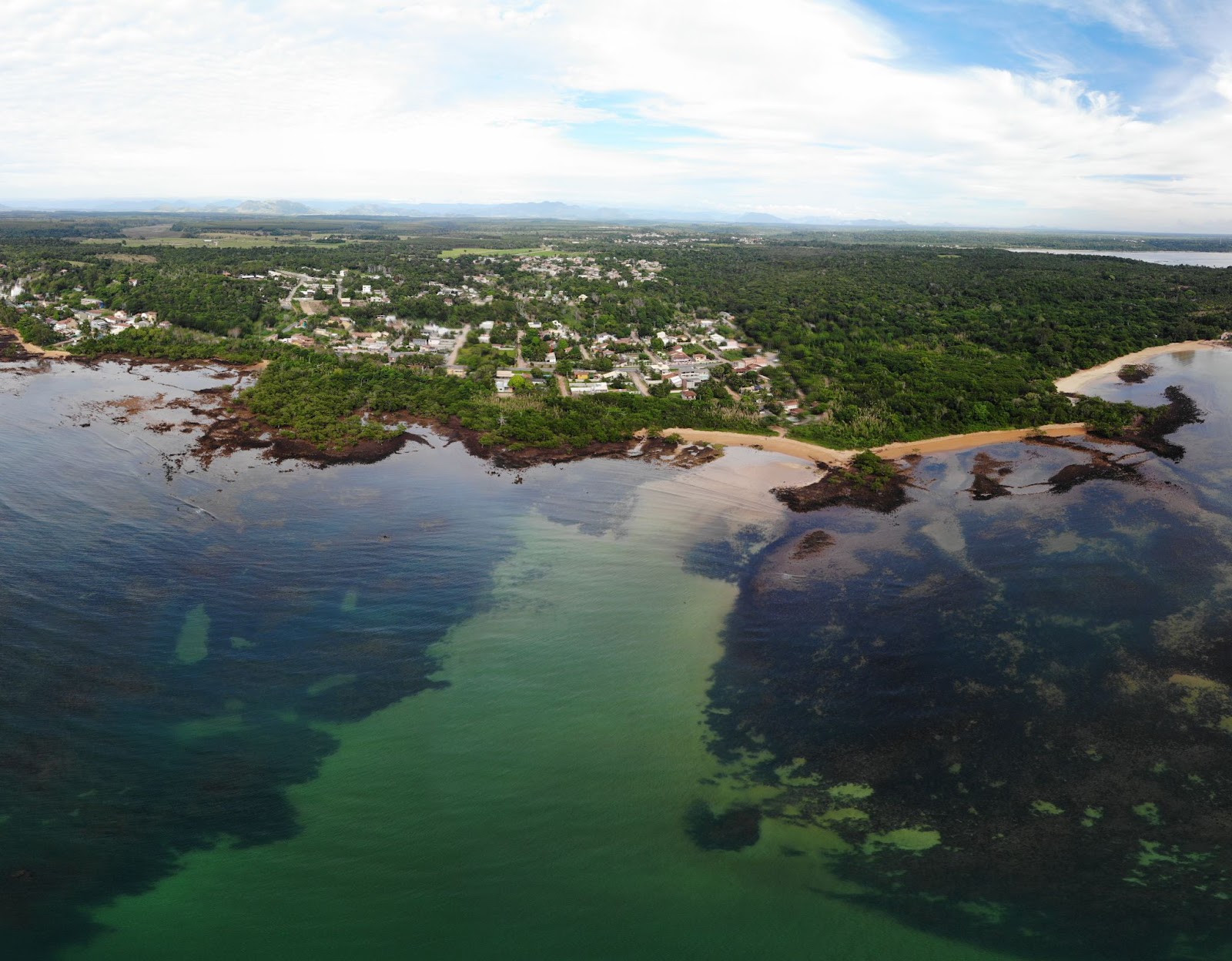 Vista panorâmica da Praia da Biologia, com vegetação nativa ao fundo