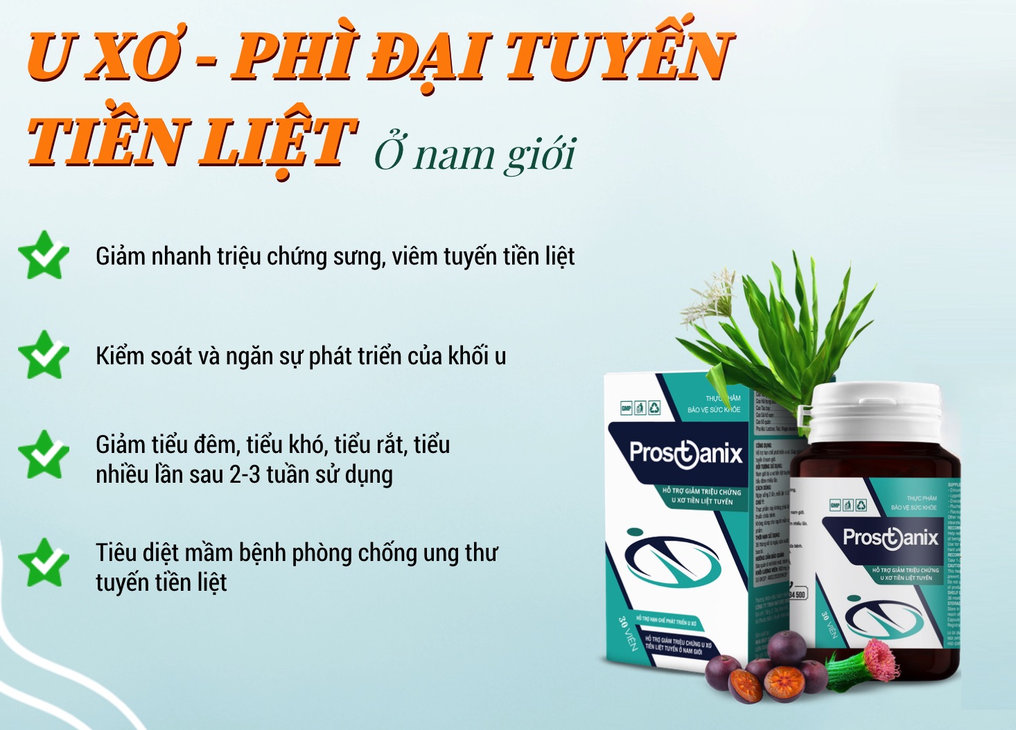 Thực phẩm chức năng prostanix