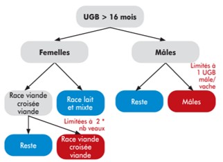 schema-explicatif-aides-pac-2024