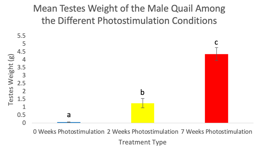 A graph of a person with a red and yellow bar

Description automatically generated