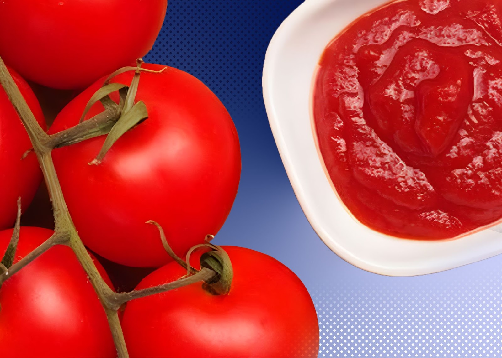 QUICK Tomato Paste