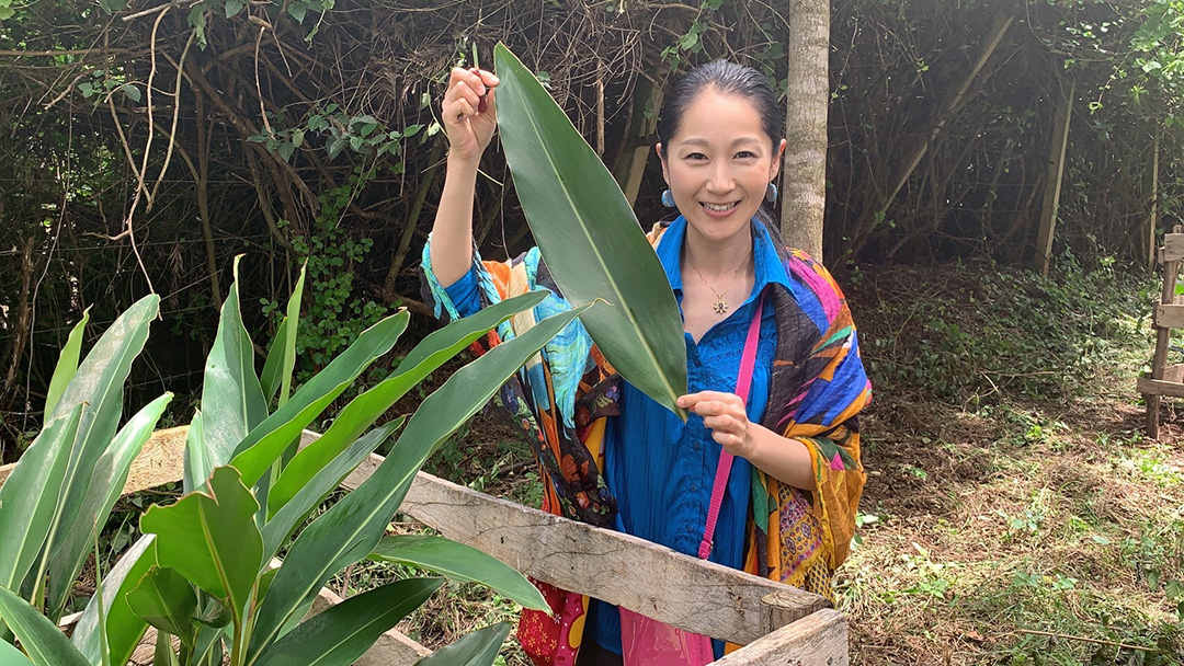 見出し2画像_嶋村吉洋社長が主催するワクセルのコラム_桜華純子さん_カウンセラーとして独立