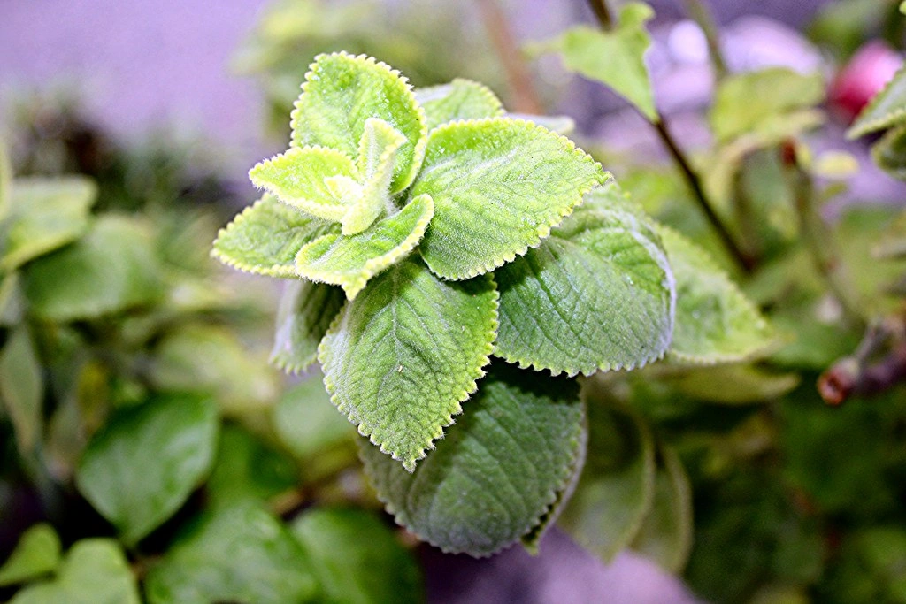 Adapting Care for Unusual Environments