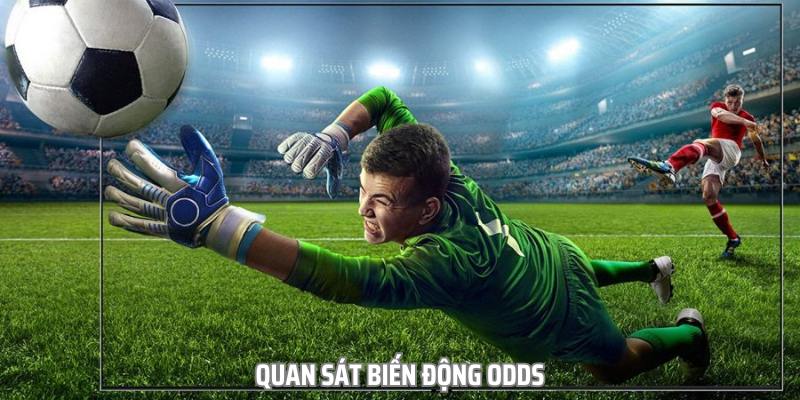 Quan sát biến động Odds sẽ giúp bạn tránh gặp phải rủi ro đáng tiếc