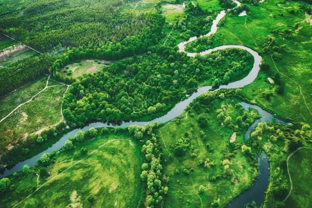 25 Quiet Rivers That Flow Through Forests, quiet river, forest stream, nature, forest, landscape, tree water, peaceful path