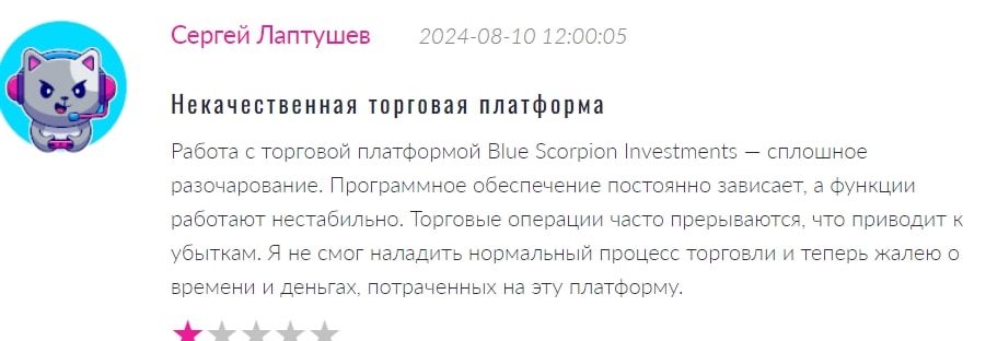 Blue Scorpion Investments: отзывы о брокере и обзор его деятельности