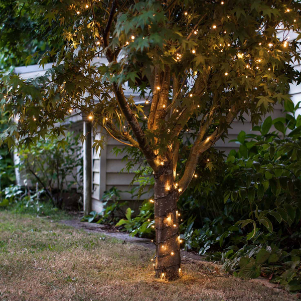 Árvore iluminada com luzes brancas decorativas, em um ambiente ao ar livre.