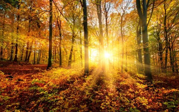 Wander Through Wilderness in 20 Peaceful Images, wilderness photos, peaceful wild, nature, landscape, nature hiking, outdoor quiet