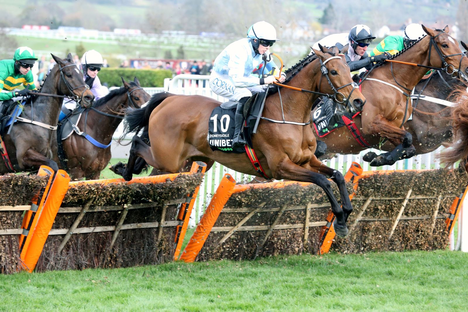 Cheltenham Festival 2025: A Guide to Racing’s Greatest Spectacle