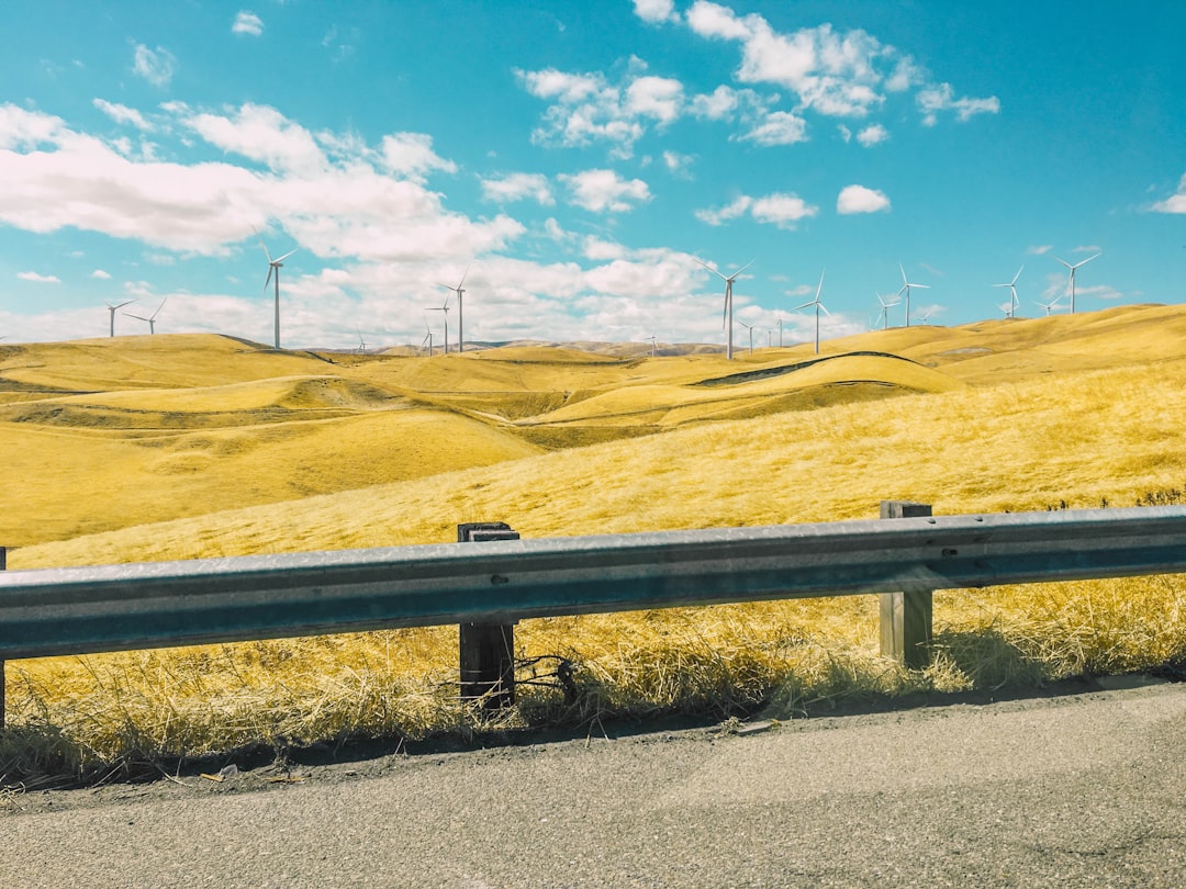 Wind turbines in a field