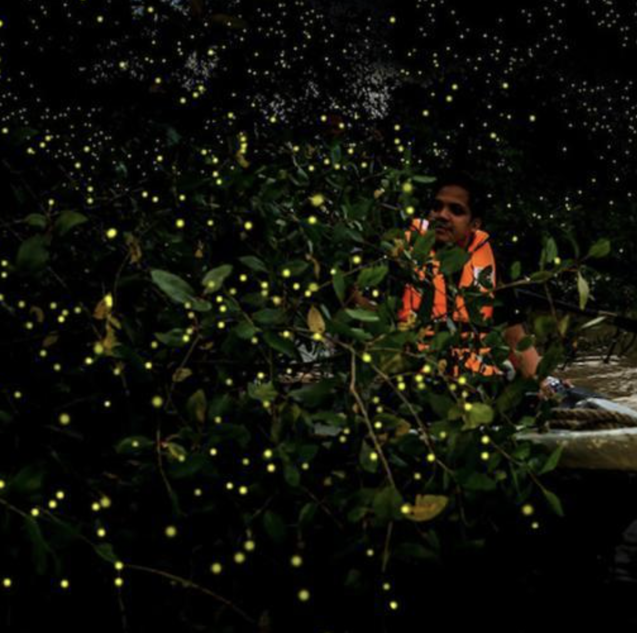 A person in a boat with fireflies in the dark

Description automatically generated