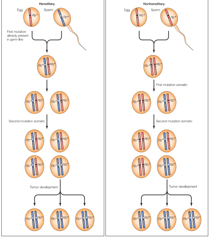 Screenshot (25).png