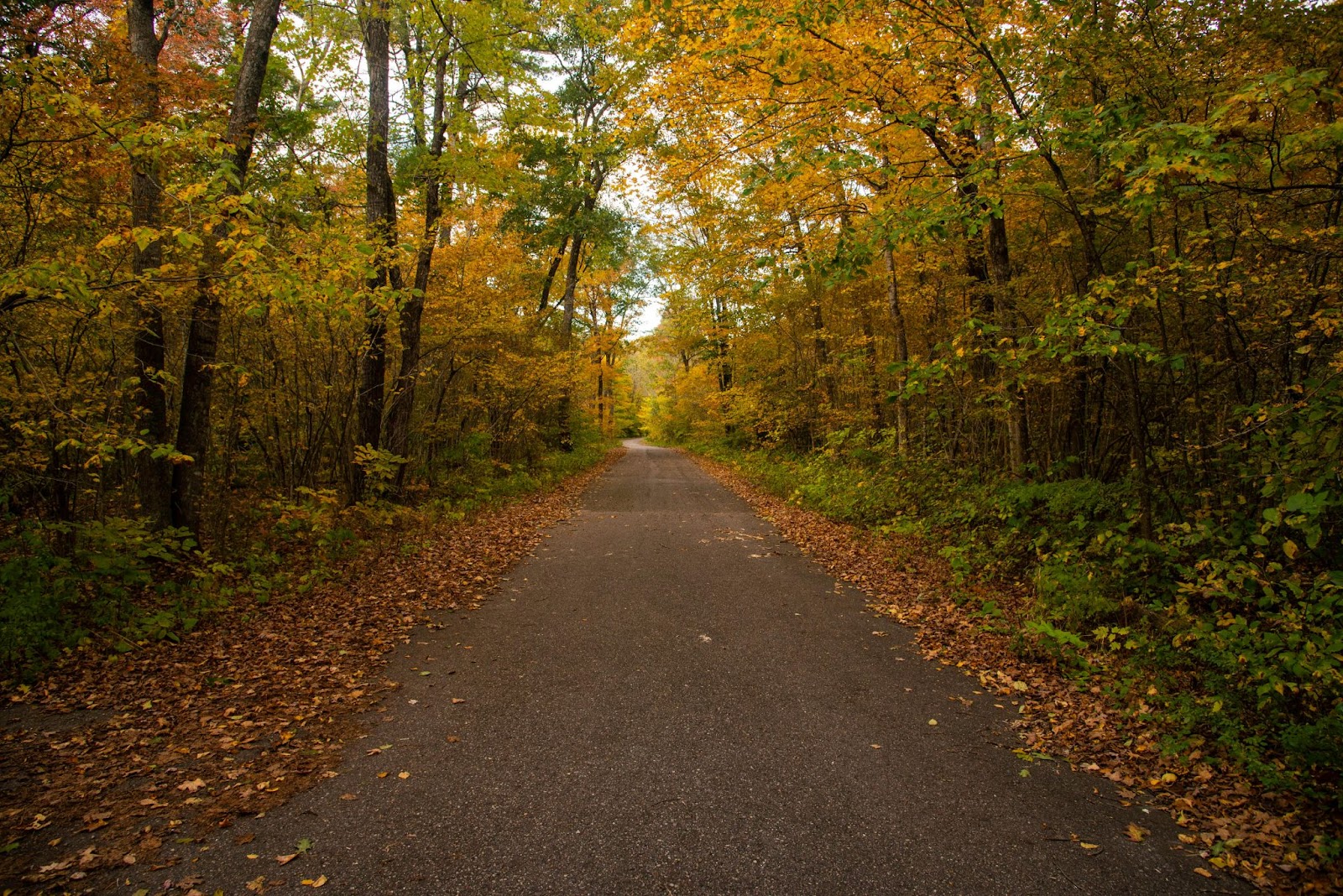 Wisconsin Trail in Autumn