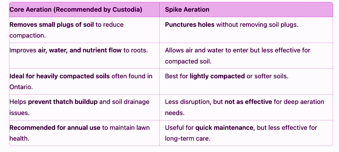 Comparison Table: Core Aeration vs. Spike Aeration