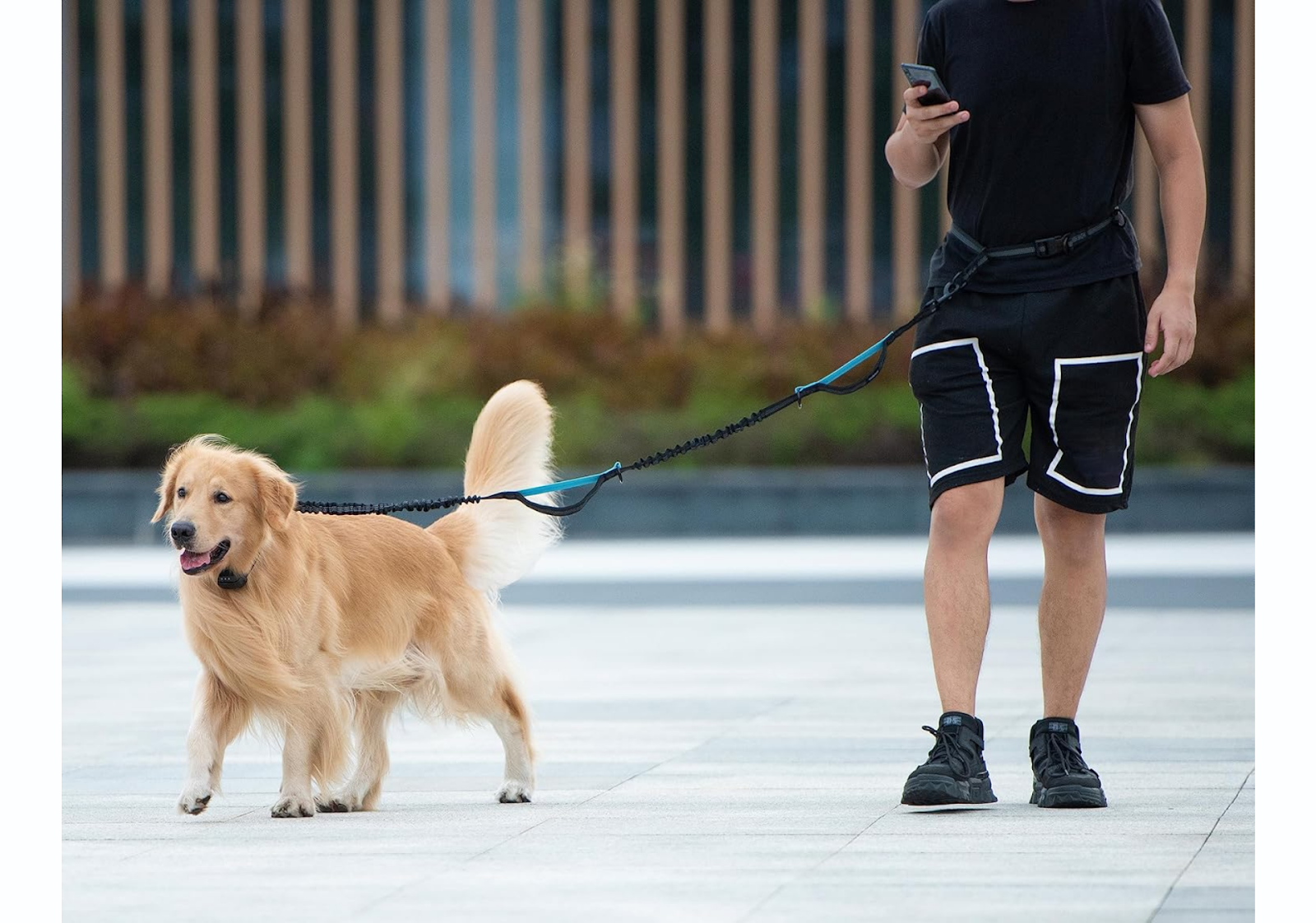 iYoShop Hands-Free Dog Leash