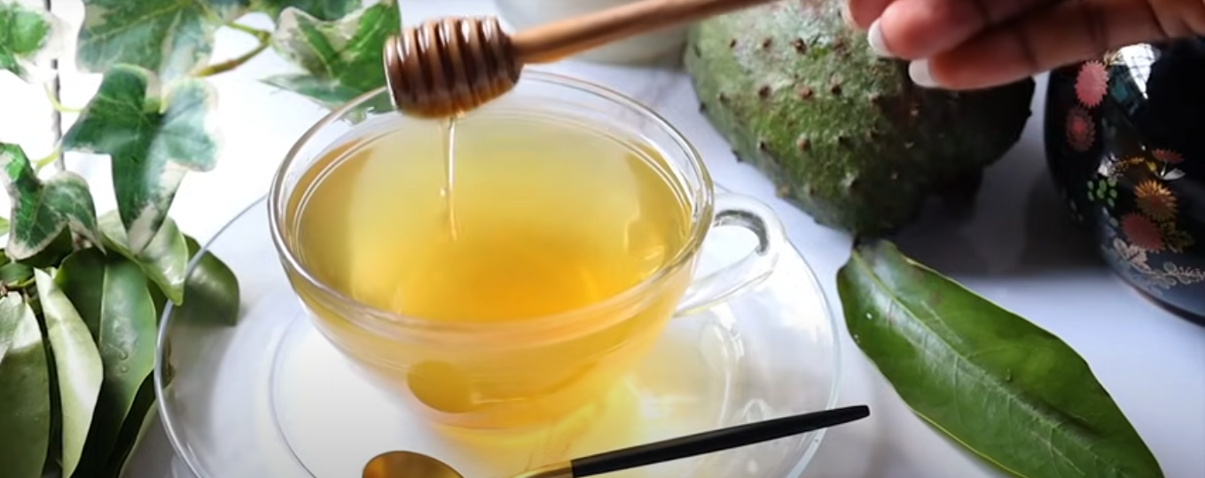 tea by boiling soursop leaves