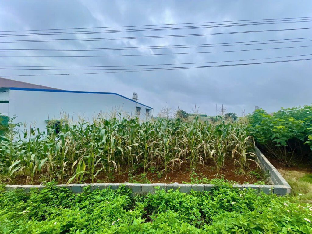 Bán đất Phường 2 mới Bảo Lộc
