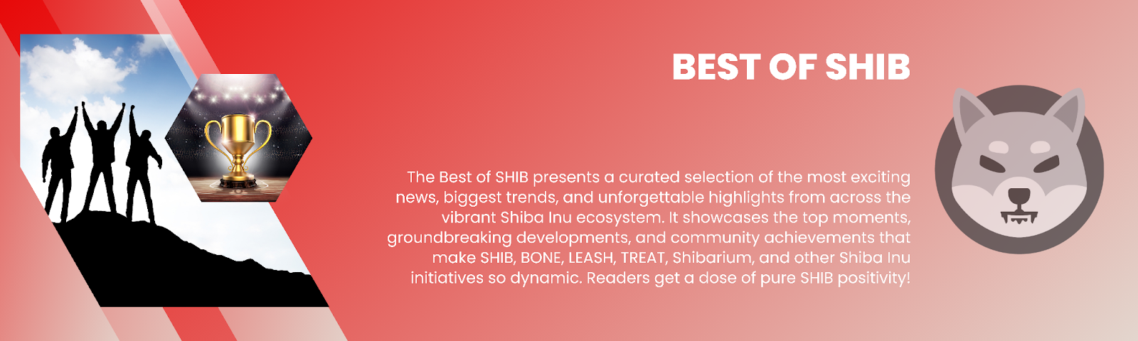 SHIB Army on Fire: Big Burns, Fast Tech, and Massive Gains