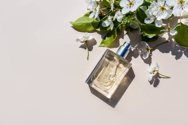 Considerations When Assessing Vendors For Packaging Design For Luxury Fragrance Lines.