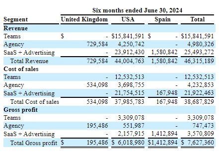 Disaggregated revenue