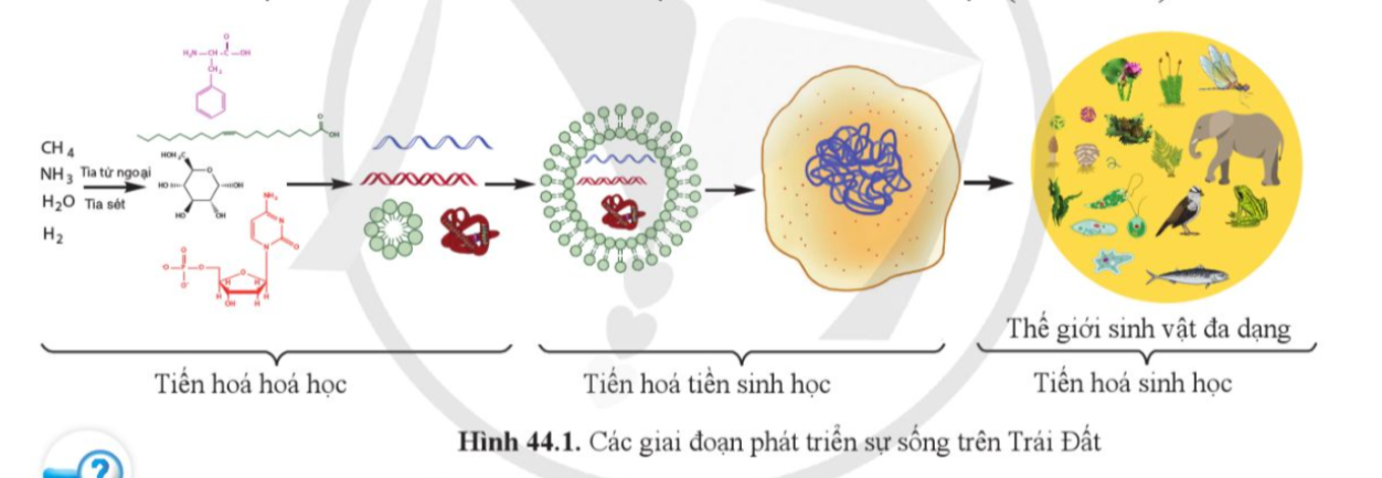 BÀI 44: SỰ PHÁT SINH VÀ PHÁT TRIỂN SỰ SỐNG TRÊN TRÁI ĐẤT