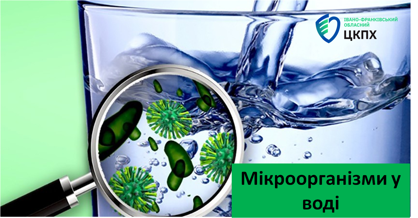 Мікроорганізми у воді