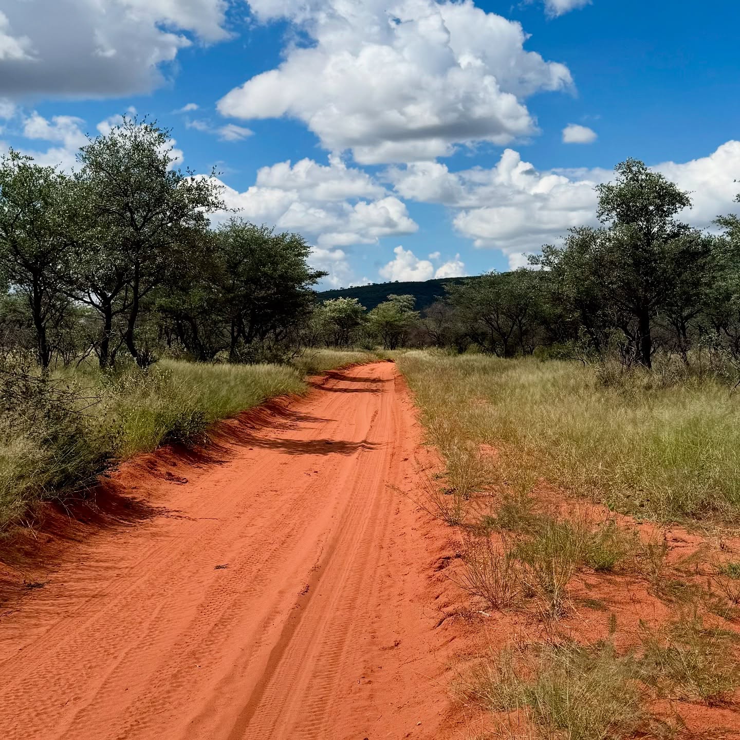  Okonjima Nature Reserve