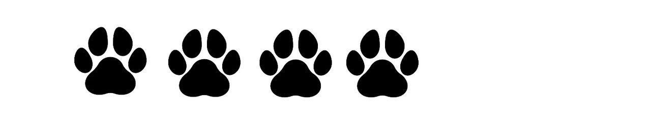 4 paw rating from Rico the dog 