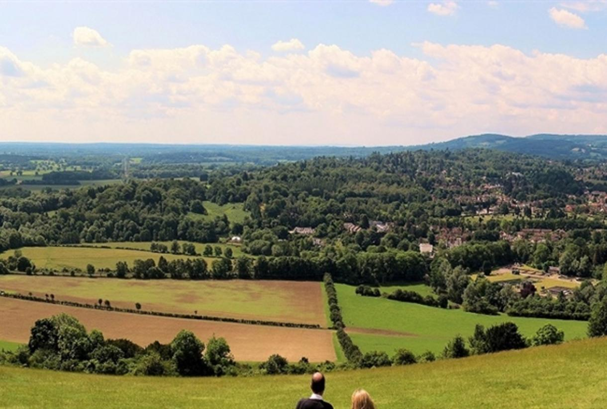 Explore the Surrey Hills National Landscape