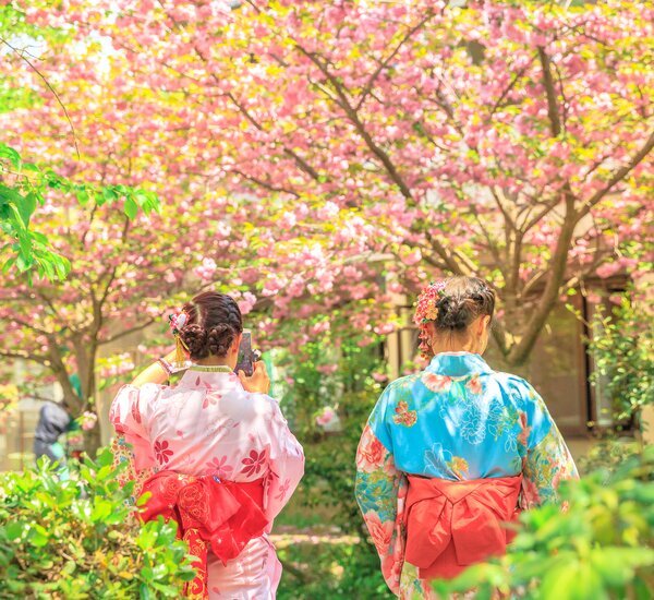 Fotografía tradicional de kimono en Japón que muestra las condiciones ideales de iluminación y tiempo para una auténtica fotografía cultural.