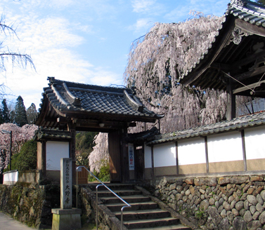 大野寺