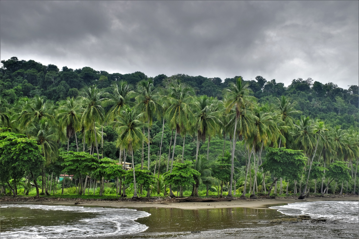 Playa Dominicalito
