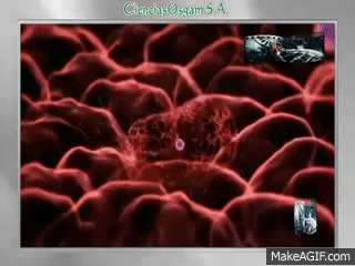 LA NANOTECNOLOGÍA : DOCUMENTAL COMPLETO on Make a GIF