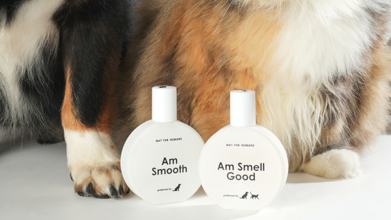 Parfum Not For Humans varian Am Smell Good dan Am Smooth