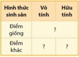 BÀI 33. SINH SẢN HỮU TÍNH Ở ĐỘNG VẬT MỞ ĐẦUCâu hỏi: Quan sát hình 32.1d và 32.3c, nêu sự khác nhau về hình thức sinh sản ở cá và sao biển. Cho biết tên hình thức sinh sản của cáĐáp án chuẩn:Ở cá, các cá thể mới được tạo ra nhờ sự kết hợp giữa con đực và cái qua thụ tinh. Ở sao biển, cá thể mới được tạo ra không có sự kết hợp giữa con đực và con cái. I. KHÁI NIỆM SINH SẢN HỮU TÍNHCâu 1: Lập bảng so sánh sinh sản vô tính và hữu tính theo gợi ý.Đáp án chuẩn:Giống: tạo ra các cá thể mới từ các thể ban đầuKhác:II. SINH SẢN HỮU TÍNH Ở THỰC VẬT CÓ HOACâu 2: Quan sát hình 33.1, mô tả các bộ phận của hoa lưỡng tính.Đáp án chuẩn:Đài hoa, cánh hoa, nhị hoa, nhuỵ hoa, noãn hoaCâu 3: Quan sát hình 33.2, nêu đặc điểm của hoa đơn tính. Phân biệt hoa đơn tính với hoa lưỡng tínhĐáp án chuẩn:Đặc điểm: chỉ chứa duy nhất một cơ quan sinh sản là đực hoặc cái. Phân biệt: + Hoa đơn tính chứa các cơ quan sinh sản đực và cái trong hoa riêng biệt. + Hoa lưỡng tính chứa các cơ quan sinh sản đực và cái trong cùng một bông hoa.Câu hỏi 1: Hãy lấy thêm ví dụ về hoa đơn tính và hoa lưỡng tính.Đáp án chuẩn:Hoa đơn tính: hoa bưởi, hoa cam, hoa lúa, hoa chuối,…Hoa lưỡng tính: hoa mướp, hoa bí, hoa ngô, hoa su su,…Vận dụng 1Câu hỏi: Quan sát 3-5 bông hoa của các loài cây khác nhau, xác định các bộ phận cấu tạo của hoa. Lập bảng về các đặc điểm mỗi bộ phận theo gợi ý trong bảng 33.2.Đáp án chuẩn:Tên loài hoaMàu sắc hoaSố cánh hoaSố nhị hoaNhụy hoa (có/không)Hoa đơn tính/lưỡng tínhHoa bưởiTrắng525,8 ± 1,15 nhị/hoaKhôngĐơn tínhHoa hồngĐỏ35Nhiều nhịCóLưỡng tínhHoa senHồng8Nhiều nhịCóLưỡng tínhCâu 4: Quan sát hình 33.3, nêu sự khác nhau giữa tự thụ phấn và thụ phấn chéo.Đáp án chuẩn:Tự thụ phấn là quá trình giao phối xảy ra ở giữa hai bông hoa của cùng một cây. Thụ phấn chéo là quá trình lai xa giữa hai loài thực vật cùng loài và các loài hoa khác nhau. Câu 5: Lấy ví dụ về hoa thụ phấn nhờ gió, nhờ sâu bọ, nhờ con người.Đáp án chuẩn:Hoa thụ phấn nhờ gió: ngô, hoa bồ công anh, lúa.Hoa thụ phấn nhờ sâu bọ: hoa cam, bưởi.Hoa thụ phấn nhờ con người: hoa bí, bầu, mướp.Câu hỏi 2: Giải thích vì sao phải bảo vệ một số loài côn trùng thụ phấn cho câyĐáp án chuẩn:Vì có những loài thực vật không thể tự thụ phấn được mà cần nhờ đến các loài côn trùng.Vận dụng 2Câu hỏi: Vì sao ở các vườn trồng cây như nhân, vải, xoài người ta thường kết hợp nuôi ong? Đáp án chuẩn:Vì ong giúp thụ phấn cho cây, giúp tăng số lượng hoa được thụ phấn; còn có thể lấy mật.Câu 6: Quan sát hình 33.4 trình bày sự hình thành quả cà chuaĐáp án chuẩn:Sau khi được thụ tinh noãn phát triển thành hạt và bầu nhuỵ phát triển thành quả chứa hạt. Hạt chứa phôi phát triển thành cơ thể mới.Câu hỏi 3: Trình bày quá trình thụ phấn, thụ tinh và sự hình thành hạt, quả.Đáp án chuẩn:- Thụ phấn: là quá trình hạt phấn được chuyển từ nhị đến đầu nhụy. - Thụ tinh: là quá trình kết hợp giữa giao tử đực và giao tử cái tạo hợp tử.- Sự hình thành hạt, quả: noãn phát triển thành hạt và bầu nhụy phát triển thành quả chứa hạt.Vận dụng 3Câu 1: Nêu vai trò của quả và hạt đối với thực vật, động vật và con ngườiĐáp án chuẩn:Bảo vệ hạt, hấp dẫn động vật ăn quả giúp cho sự phát tán nòi giống, nguồn cung cấp chất dinh dưỡng quan trọng cho con người.Tìm hiểu thêm: Tìm hiểu cơ chế lớn lên của quả.Đáp án chuẩn:Sau khi thụ tinh xong thì phôi phát triển thành hạt và bầu lớn lên thành quả. III. SINH SẢN HỮU TÍNH Ở ĐỘNG VẬTCâu 7: Mô tả khái quát quá trình sinh sản hữu tính ở động vật. Lấy ví dụ ở động vật đẻ con và động vật đẻ trứngĐáp án chuẩn:- Sinh sản hữu tính: Hình thành tinh trùng và hình thành trứng → thụ tinh → hợp tử → phôi → cơ thể mới.- Ví dụ:+ Động vật đẻ con: Chó đực và cái giao phối + Động vật đẻ trứng: Gà trống và gà mái giao phối Câu hỏi 4: Lấy ví dụ động vật đẻ trứng, động vật đẻ con và cho biết các giai đoạn của quá trình sinh sản ở động vật đó.Đáp án chuẩn:- Động vật đẻ trứng: gà, vịt,… → Các giai đoạn: Con đực và con cái giao phối → hợp tử nằm trong trứng đã được thụ tinh → đẻ ra ngoài, ấp đủ nhiệt độ → phôi → cơ thể mới → phá vỡ vỏ trứng chui ra.- Động vật đẻ con: lợn, chó,… → Các giai đoạn: Con đực và cái giao phối → hợp tử → phôi → cơ thể mới → con non sẽ được đẻ ra ngoài.Câu 8: Quan sát hình 33.5, nêu các giai đoạn của quá trình sinh sản ở người.Đáp án chuẩn:Tinh trùng ở giới nam kết hợp với trứng ở giới nữ được thụ tinh thành hợp tử → phôi thai → em bé hoàn thiện và được sinh ra.Luyện tập: Cho các từ, cụm từ: trứng, gà con, ấp trứng, thụ tinh, tinh trùng, hợp tử. Sử dụng các từ đã cho để hoàn thành sơ đồ các giai đoạn sinh sản ở gà.Đáp án chuẩn:(1) trứng(2) thụ tinh(3) hợp tử(4) ấp trứng(5) gà con(6) tinh trùngVận dụng 4Câu hỏi: Nêu ưu điểm của việc mang thai và sinh con ở động vật có vú so với đẻ trứng ở các loài động vật khác.Đáp án chuẩn:Giúp phôi được nuôi dưỡng và bảo vệ tốt, chất dinh dưỡng từ cơ thể mẹ được vận chuyển qua nhau thai để nuôi dưỡng bào thai.Câu 9: Nêu một số ứng dụng sinh sản hữu tính trong thưc tiễn và cho ví dụ minh hoạĐáp án chuẩn:Lai tạo và chọn lọc những giống lúa, ngô cho năng suất cao, bò cho sữa với chất lượng tốt, lợn cho tỉ lệ nạc cao.Vận dụng 5