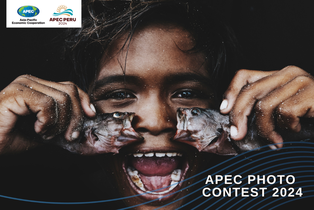 https://www.apec.org/images/default-source/photo-contest-images/2024/apec-photo-contest-2024-image.png?sfvrsn=e3ee1485_1