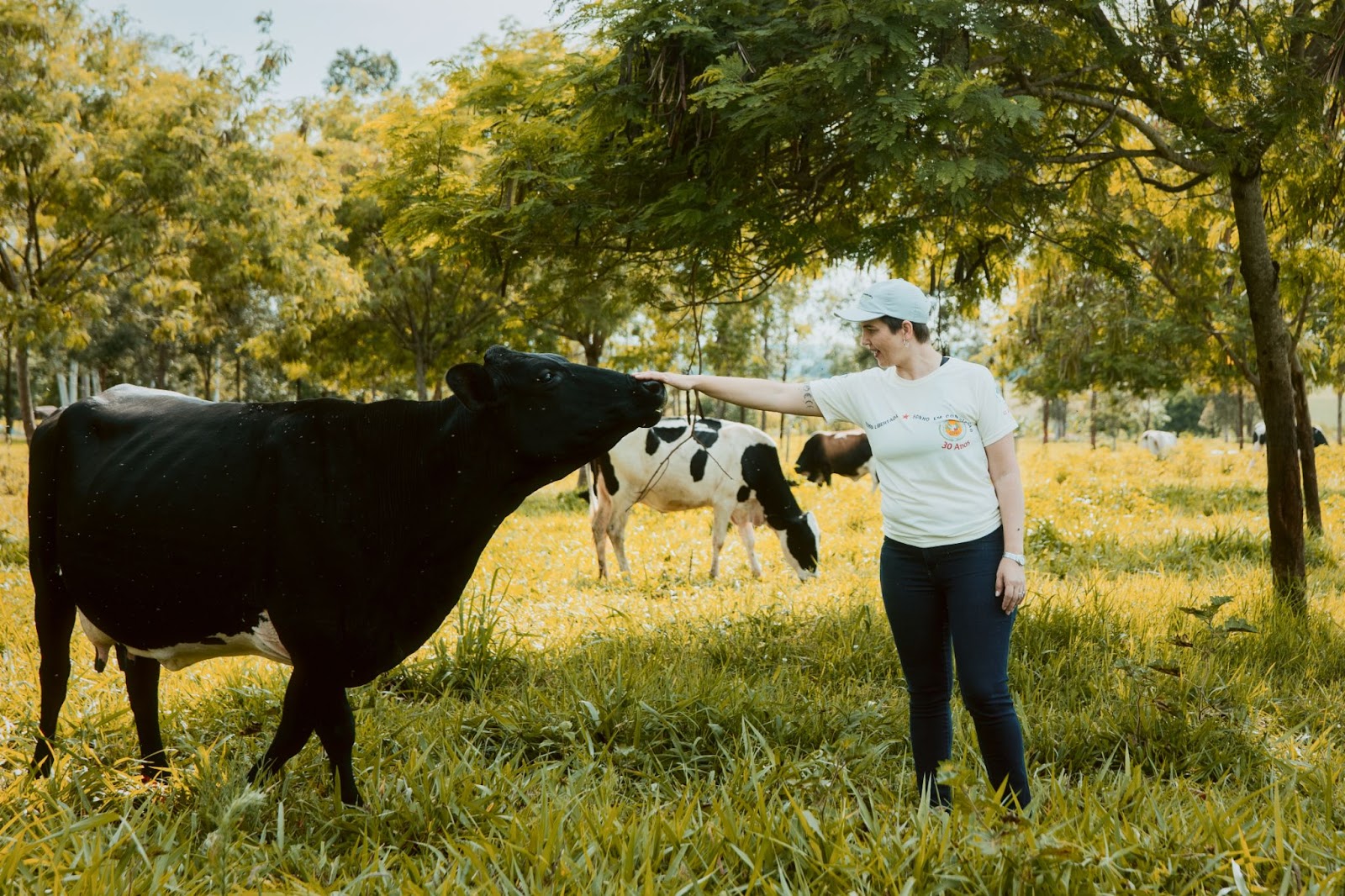 Daniela está em um dos piquetes, à frente de uma vaca preta, e a acaricia. Ela veste jeans, boné e uma camiseta branca. A vaca é preta e ambas estão entre as árvores do pasto