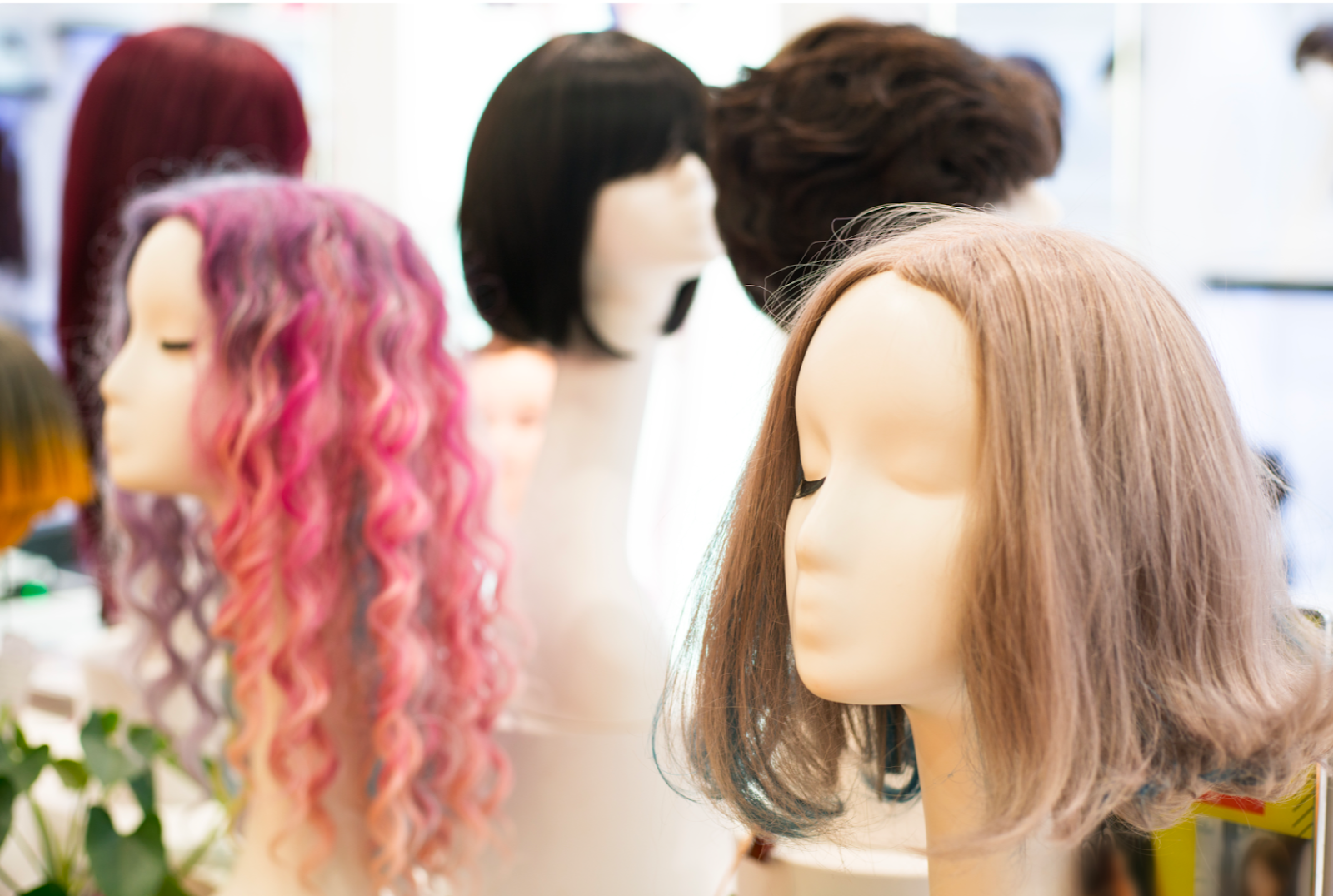 Wigs placed on Mannequins&nbsp;