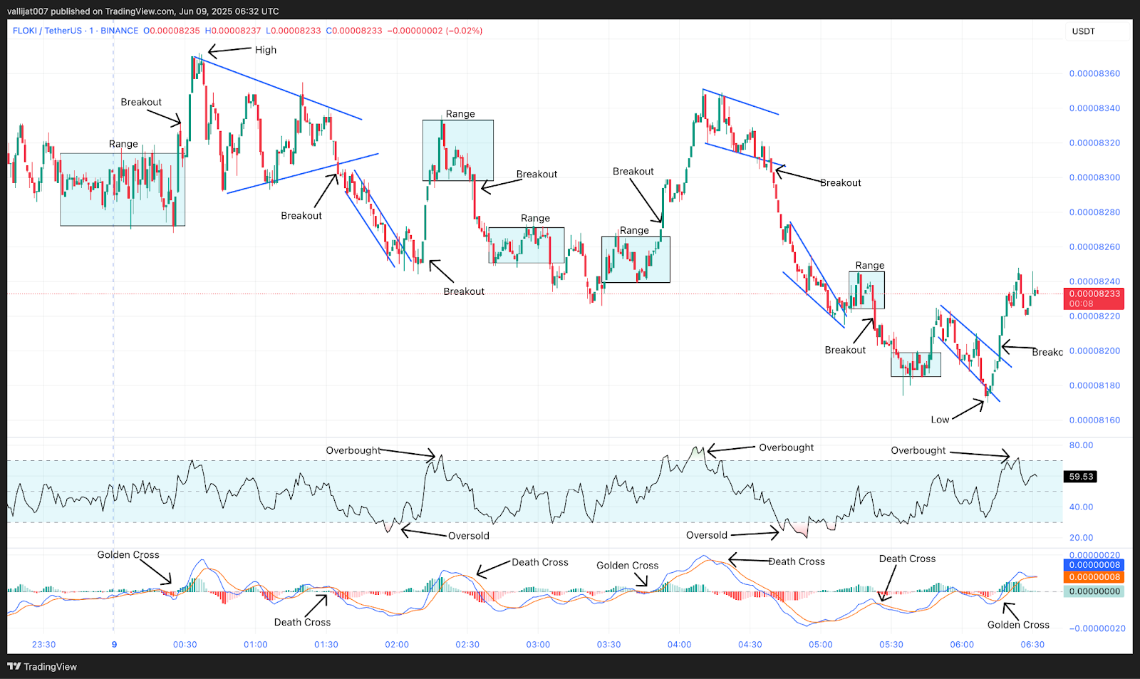 Chart 5: FLOKI/USDT M1 Chart, Analysed by vallijat007, published on TradingView, June 9, 2025
Floki price
