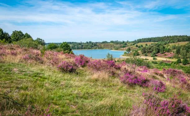 Landscapes to Fall in Love With, romantic landscapes, love nature, nature, landscape, scenic charm, emotional views