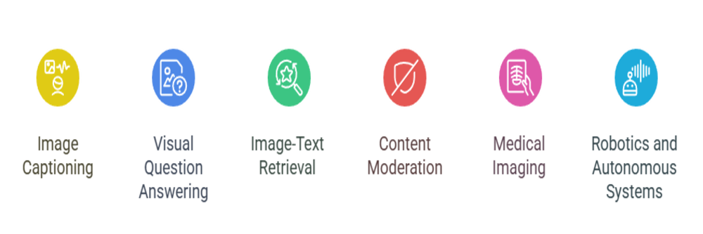 applications of vision language model